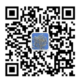 扫描关注微信账号